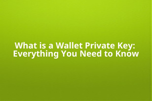 What is a Wallet Private Key: Everything You Need to Know