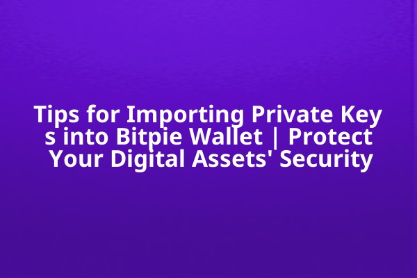 Tips for Importing Private Keys into Bitpie Wallet | Protect Your Digital Assets' Security
