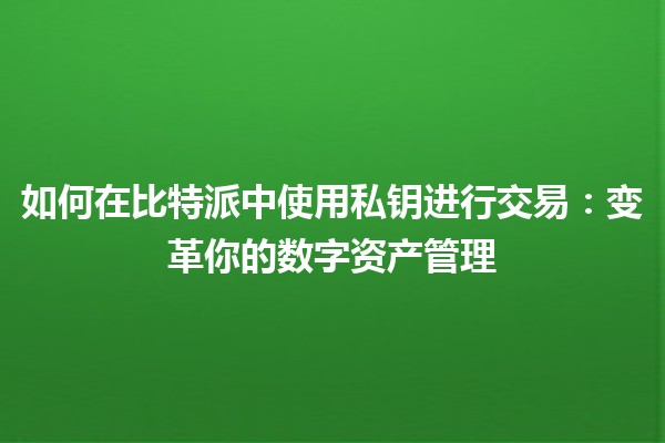 如何在比特派中使用私钥进行交易：变革你的数字资产管理